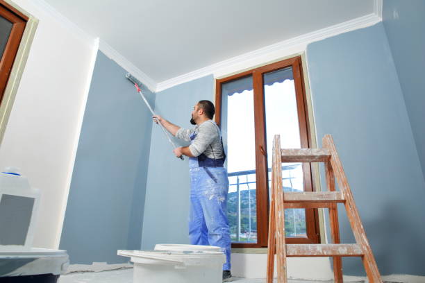 Best Water-Damaged Drywall Repair  in USA